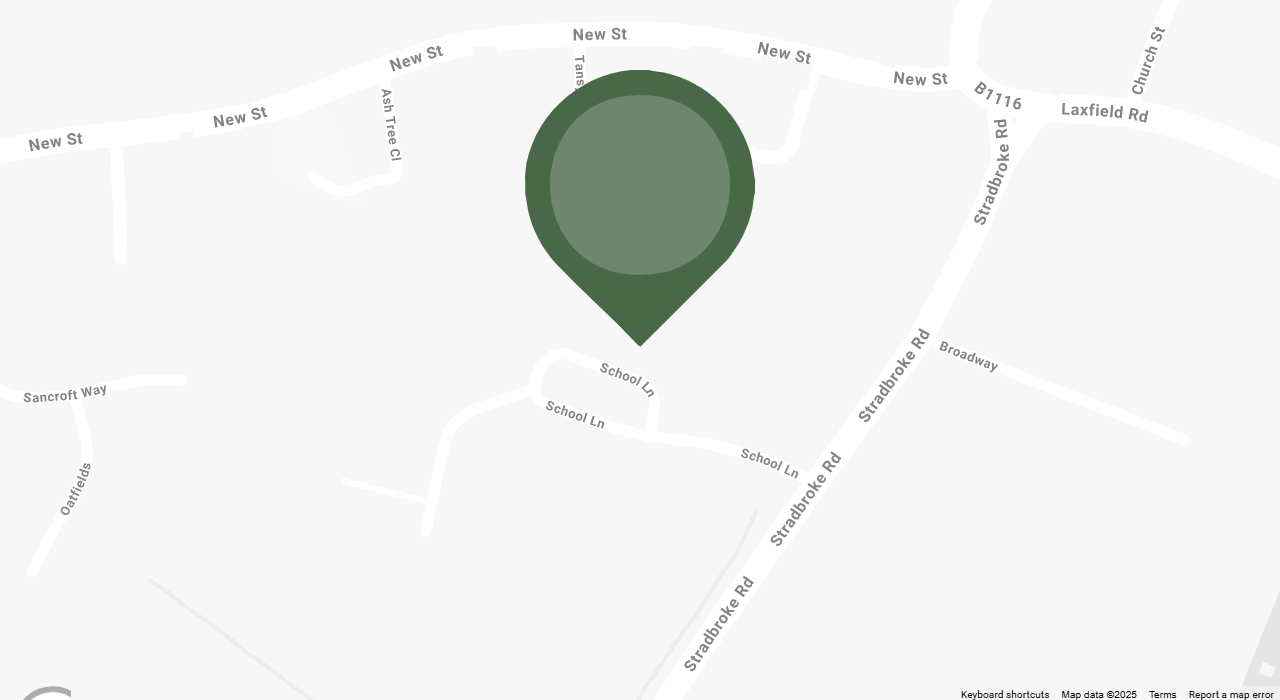 Google map image showing school location