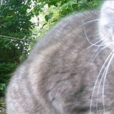 Wildlife Camera Photos