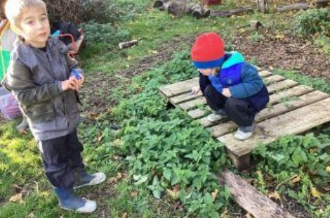 Forest School 25.11.24